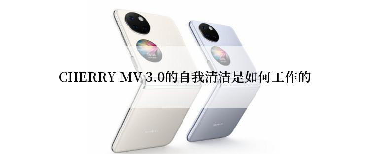  CHERRY MV 3.0的自我清洁是如何工作的