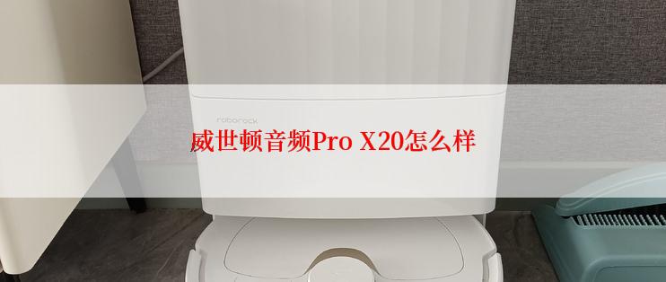 威世顿音频Pro X20怎么样