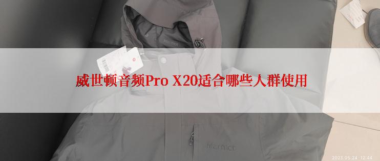  威世顿音频Pro X20适合哪些人群使用