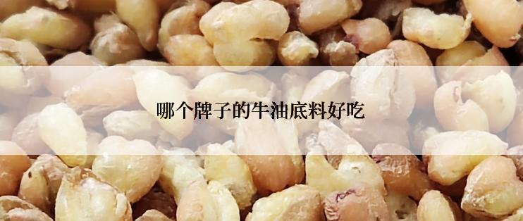 哪个牌子的牛油底料好吃