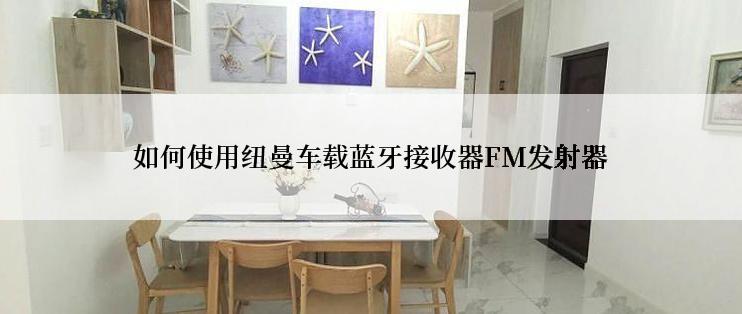 如何使用纽曼车载蓝牙接收器FM发射器