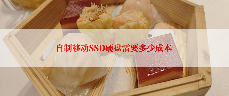 自制移动SSD硬盘需要多少成本