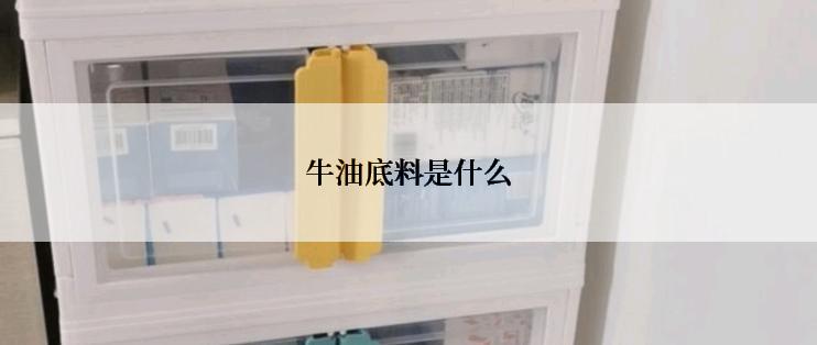 牛油底料是什么