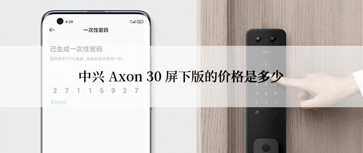 中兴 Axon 30 屏下版的价格是多少