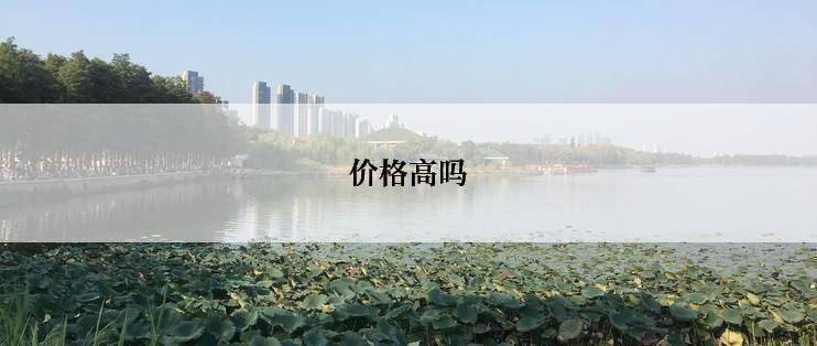 价格高吗