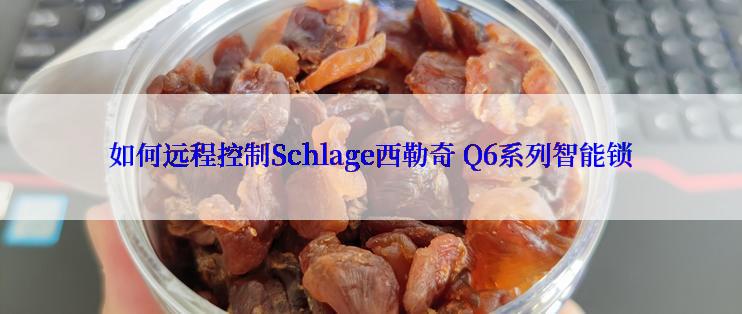 如何远程控制Schlage西勒奇 Q6系列智能锁