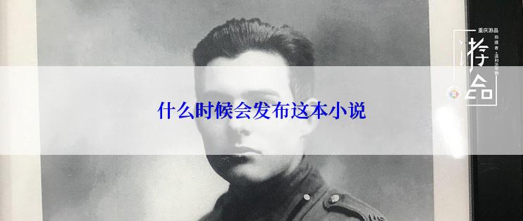 什么时候会发布这本小说