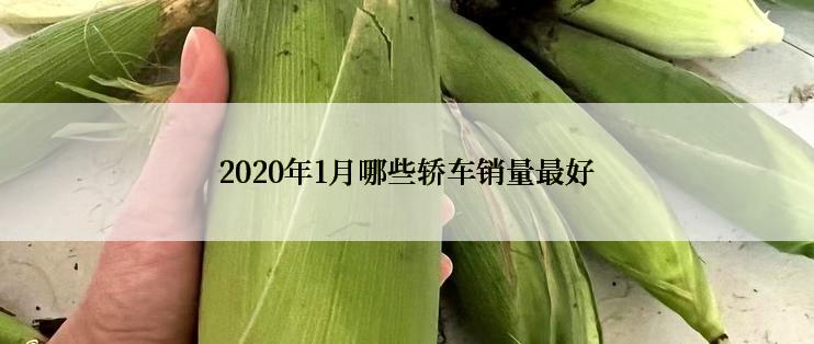 2020年1月哪些轿车销量最好