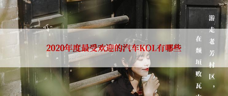 2020年度最受欢迎的汽车KOL有哪些