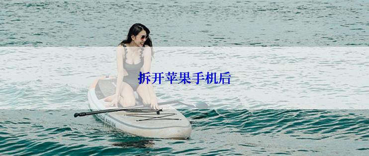 拆开苹果手机后