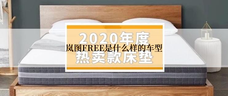 岚图FREE是什么样的车型