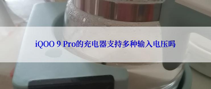 iQOO 9 Pro的充电器支持多种输入电压吗