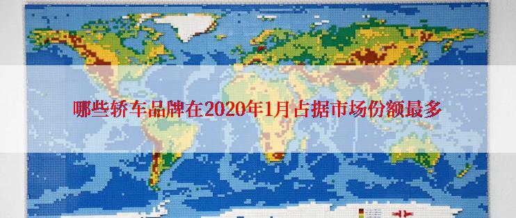 哪些轿车品牌在2020年1月占据市场份额最多