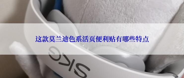 这款莫兰迪色系活页便利贴有哪些特点