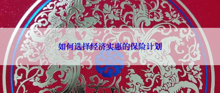 如何选择经济实惠的保险计划