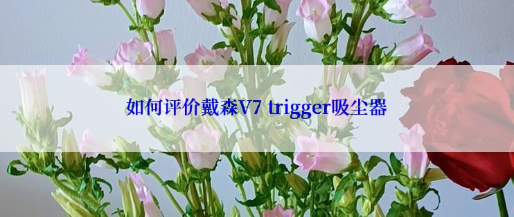 如何评价戴森V7 trigger吸尘器