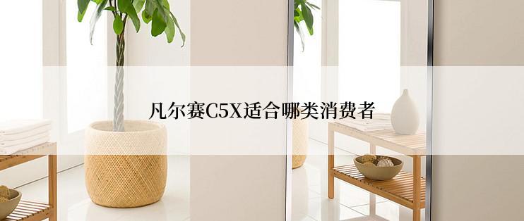 凡尔赛C5X适合哪类消费者