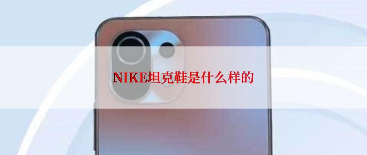 NIKE坦克鞋是什么样的