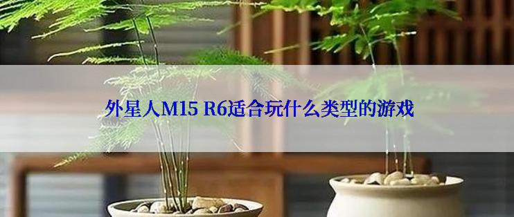  外星人M15 R6适合玩什么类型的游戏