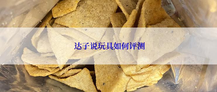  达子说玩具如何评测