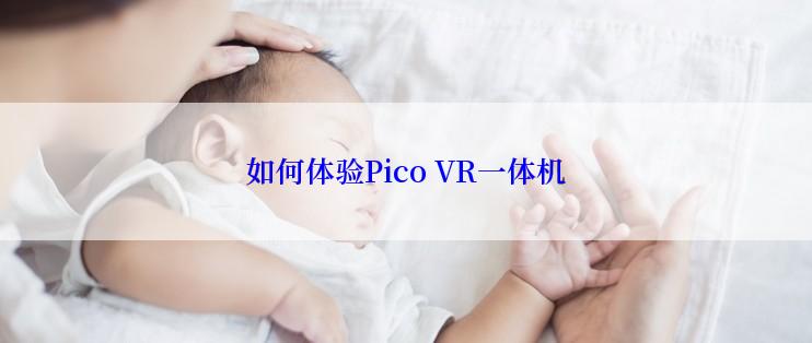 如何体验Pico VR一体机