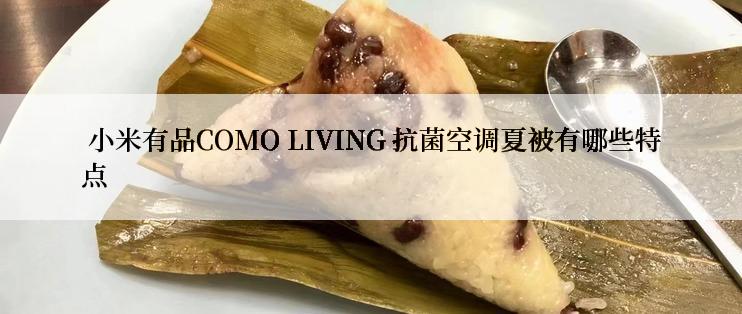  小米有品COMO LIVING 抗菌空调夏被有哪些特点