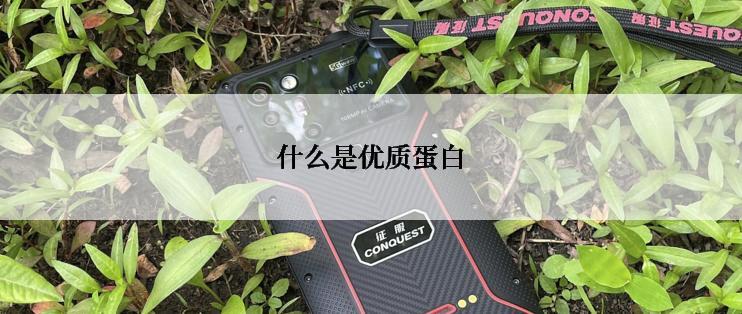 什么是优质蛋白