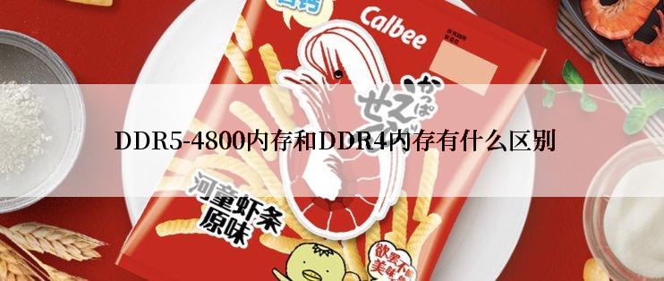  DDR5-4800内存和DDR4内存有什么区别