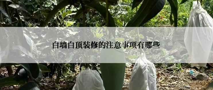 白墙白顶装修的注意事项有哪些