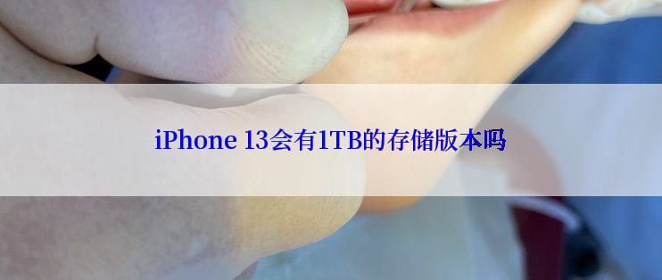 iPhone 13会有1TB的存储版本吗