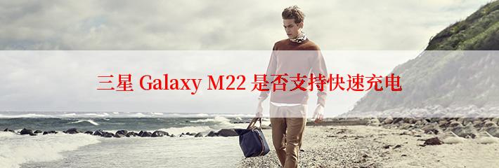 三星 Galaxy M22 是否支持快速充电