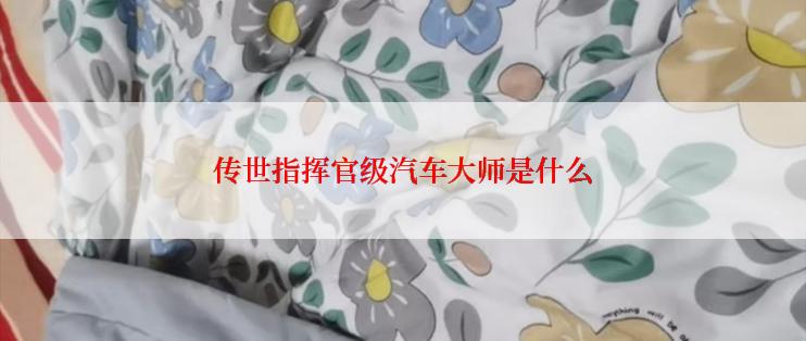 传世指挥官级汽车大师是什么