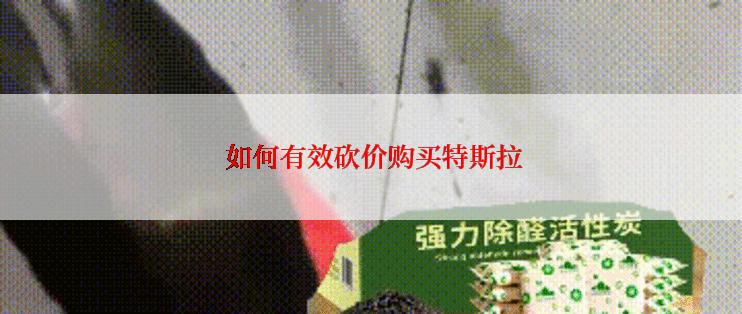  如何有效砍价购买特斯拉