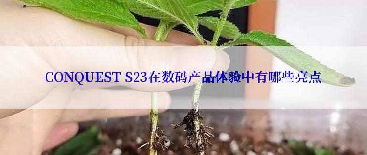 CONQUEST S23在数码产品体验中有哪些亮点