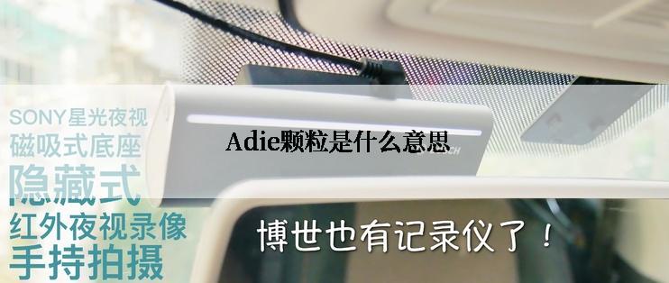  Adie颗粒是什么意思