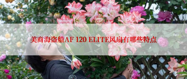 美商海盗船AF 120 ELITE风扇有哪些特点