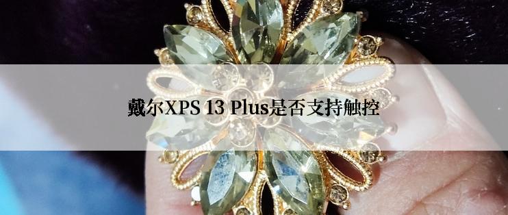 戴尔XPS 13 Plus是否支持触控