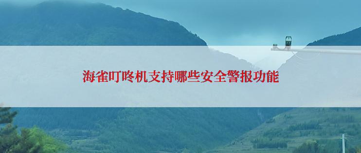 海雀叮咚机支持哪些安全警报功能