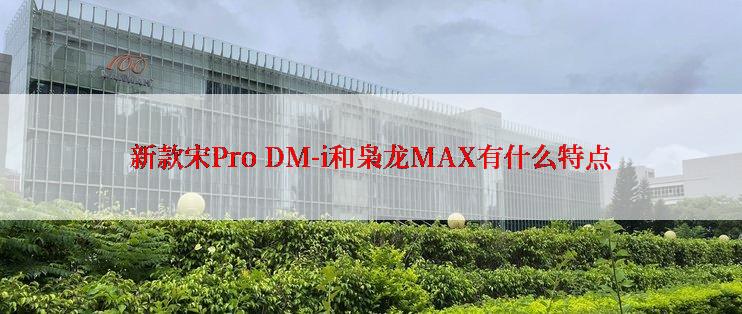 新款宋Pro DM-i和枭龙MAX有什么特点