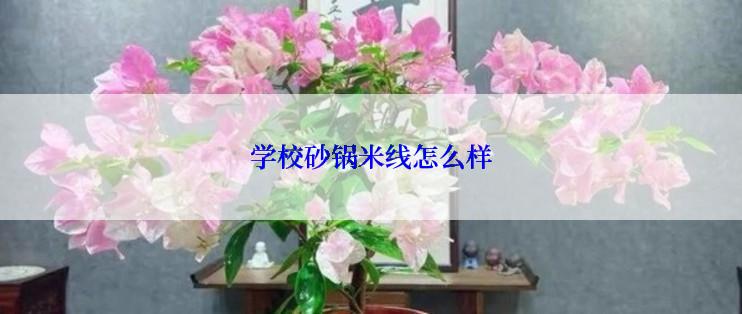 学校砂锅米线怎么样