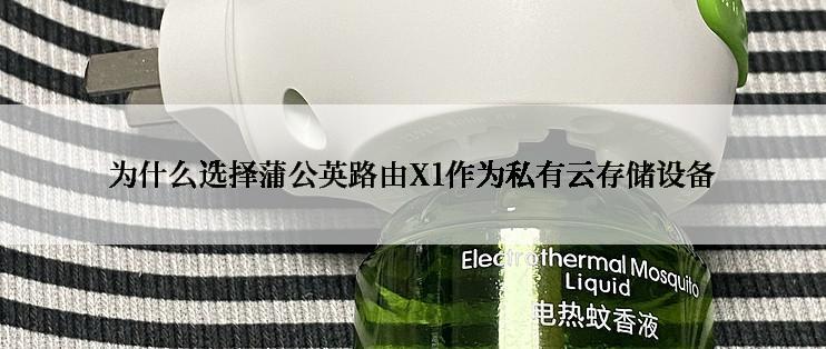 为什么选择蒲公英路由X1作为私有云存储设备