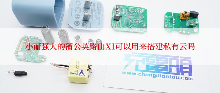 小而强大的蒲公英路由X1可以用来搭建私有云吗