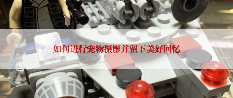 如何进行宠物摄影并留下美好回忆