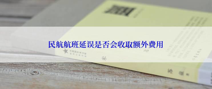 民航航班延误是否会收取额外费用