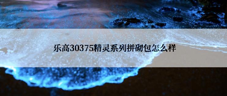  乐高30375精灵系列拼砌包怎么样