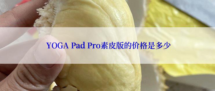  YOGA Pad Pro素皮版的价格是多少