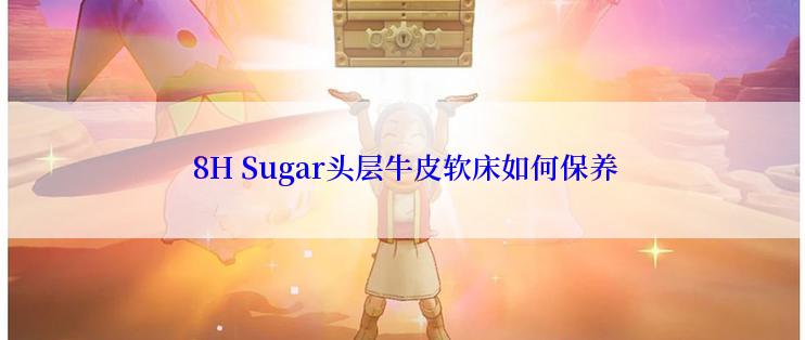  8H Sugar头层牛皮软床如何保养