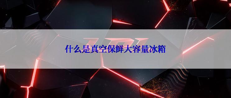 什么是真空保鲜大容量冰箱