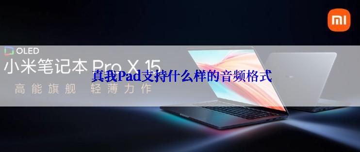  真我Pad支持什么样的音频格式