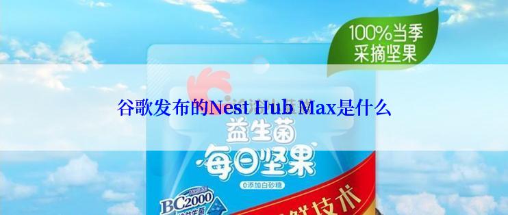 谷歌发布的Nest Hub Max是什么